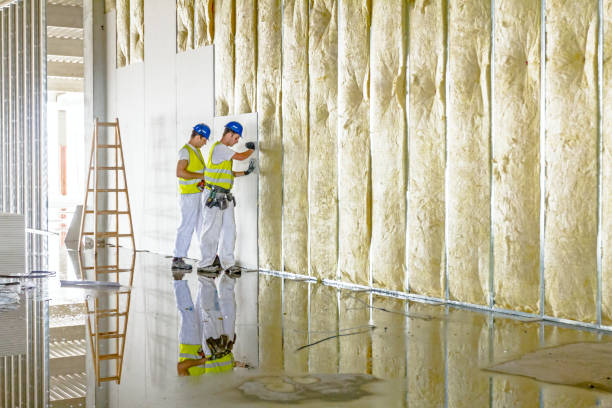 Best Types of Insulation in Breckenridge Hills, MO